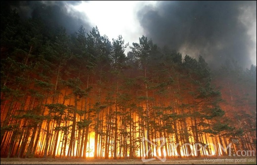 forest-fire-in-russia-2010